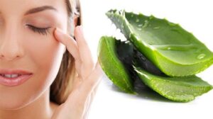 5 Manfaat Lidah Buaya untuk Jerawat, Bisa Bahan Alami