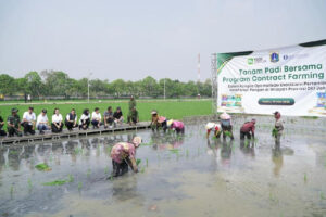 Food Station Jalin Kerja Sama Contract Farming dengan Gapoktan Rorotan Jaya