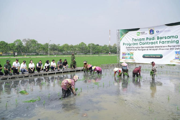 Food Station Jalin Kerja Sama Contract Farming dengan Gapoktan Rorotan Jaya