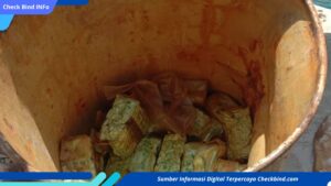 Nelayan Sumenep Temukan 35 Kg Sabu Mengapung di Laut