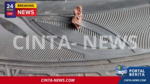 Batasan Tambal Ban Tubeless Motor: Kapan Harus Ganti Baru?