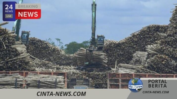 Kementerian LH Dorong Perusahaan Kertas Tingkatkan Pengelolaan Lingkungan demi Raih Proper Hijau