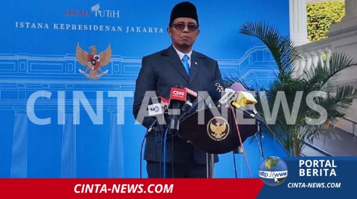 Hasan Nasbi Tanggapi Meme Prabowo-Jokowi