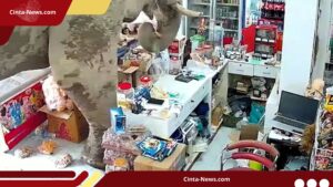 Gajah Thailand Masuk Toko, Ambil Camilan