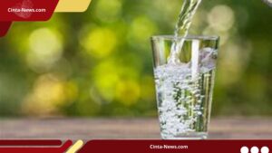Minum Air Berlebihan Merusak Ginjal? Ini Penjelasan Dokter