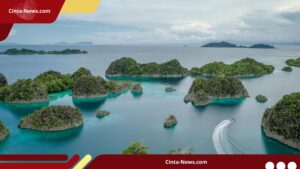 Kolam Limbah Tambang Nikel Raja Ampat Jebol, Cemari Laut