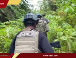 KKB Klenak Murib Tembaki Warga Sipil dan Bakar 11 Honai di Papua Tengah, 3 Orang Tewas