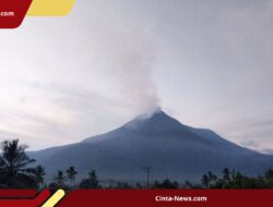 Gunung Lewotobi Meletus Lagi: Abu Vulkanik Mencapai 2 Km, Status Awas!