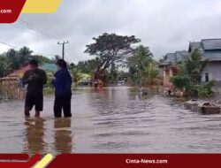 Banjir Terparah di Bonegunu: Sungai Ronta Meluap, Ratusan Rumah Terendam