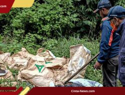 Lembang Geger! Puluhan Karung Bangkai Ayam Busuk Ditemukan di Lahan Kosong