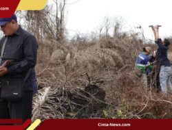 Perusahaan Sawit Didenda Rp 282 Miliar karena Bakar Lahan