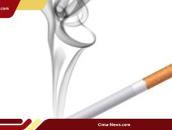 70 Juta Perokok di Indonesia! Ini Solusi Kurangi Bahaya Rokok