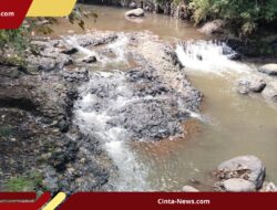 Sungai Cikapundung Terancam!, 234 Ton Kotoran Sapi Cemari Sungai Setiap Hari