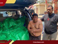 Polisi Gagalkan Pencurian Sapi, Pelaku Bawa Senjata Api Rakitan