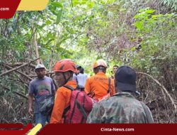 Tiga Pemuda Hilang Saat Berburu di Hutan Ambon