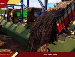 Danantara Siapkan Rp 1,5 Triliun untuk Serap Gula Petani yang Menumpuk