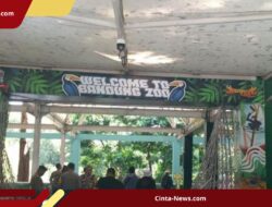 Bandung Zoo Tutup Akibat Konflik Internal, Ancam Kelangsungan Hidup Ratusan Hewan