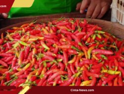 Harga Bawang Merah & Cabai di Jakarta Melambung Tinggi, Ini Penyebabnya
