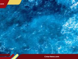 5 Nelayan Aceh Nekat Lompat ke Laut, Kabur dari Kapal Penyiksa