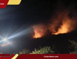 Kawasan Danau Toba Dilahap Api, Kobaran Api Terlihat Hingga Pinggir Jalan Raya