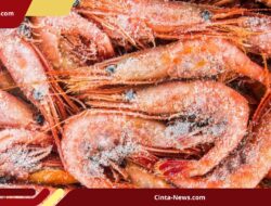 Bapeten Konfirmasi Kontaminasi Cesium di Pabrik Udang PT BMS, Investigasi Diperdalam