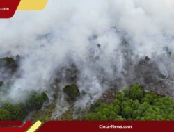 Riau Masih Berjuang Melawan Karhutla, Operasi Modifikasi Cuaca Jadi Senjata Andalan!