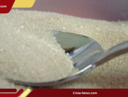 Gula Impor Gempur Petani Tebu Madiun! 6.000 Ton Menggunung Tak Laku