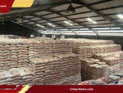 Stok Beras Berlebih Bulog Picu Kerugian Negara Rp 1,2 Triliun