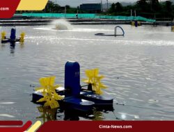 78.550 Ha Tambak Udang Pantura Bakal Diganti Budi Daya Tilapia, Ini Strategi Jitu KKP