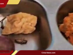 GEGER! Ulat, Telur Lalat, hingga Jangkrik Ditemukan di Menu MBG SMP di Bantul