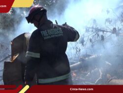 Gara-Gara Bakar Sampah, 1 Hektar Lahan di Palopo Ludes Terbakar