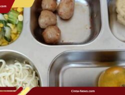 Anggaran MBG Diperkirakan Tembus Rp 1,2 Triliun Per Hari