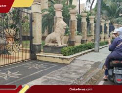 Warga Duren Sawit Dikejutkan Kehadiran Burung Merak di Jalanan