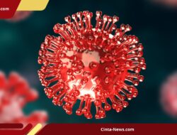 Antisipasi Wabah DBD dan COVID-19, Dinkes DIY Andalkan Sistem Deteksi Dini SKDR