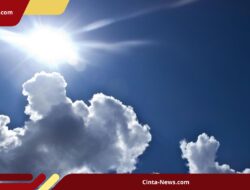 Peringatan BMKG: Suhu Udara Capai Puncak 37,6°C, Waspada Cuaca Panas Ekstrem