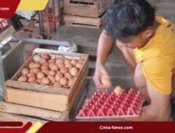 BGN Beri Penjelasan Soal Tudingan Program MBG Picu Kenaikan Harga Telur ke Rp 30.000