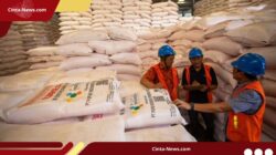 Pupuk Indonesia Sambut Keputusan Berani Prabowo: Harga Pupuk Subsidi Turun 20% !