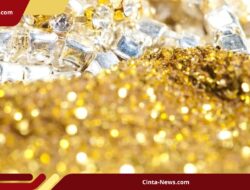 Spanyol Gagalkan Pelarian Pencuri Emas Museum Paris, Tersangka WN China Diamankan