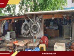 Pedagang Rawa Buaya Tolak Pindah ke Rusun, Khawatir Usaha Mati dan Pungli