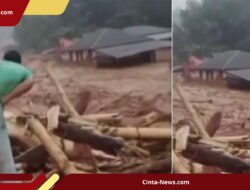 Diduga Sisa Penebangan, Ratusan Kayu Gelondongan Hanyut dalam Banjir Batangtoru