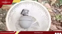 Sedang Mencari Kerang Berujung Penemuan Granat di Kabupaten Bogor