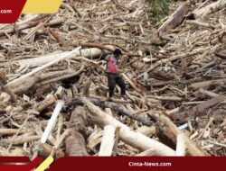 Banjir Bandang Sumatera Seret Ratusan Kayu Gelondongan, Asal-Usulnya Dipertanyakan