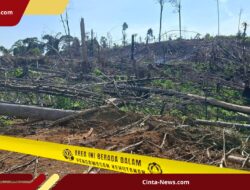 Imbas Perambahan Liar, Kemenhut Bekukan Operasi Dua Perusahaan di Bengkulu