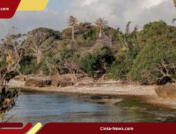 Tiga Hari Berlalu, Tim Gabungan Masih Selidiki Hilangnya Warga Saat Memancing di Alas Purwo