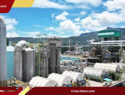 Pemerintah Tindak Tegas: Operasi Pabrik Toba Pulp Lestari Dihentikan Sementara