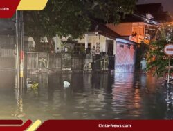 Ketinggian Air Capai 1 Meter, 5 Wilayah di Bali Terendam Banjir Usai Hujan Deras