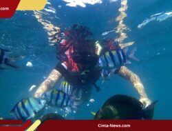 Aksi Pemalakan di Bangsring Underwater Viral, Dua Pelaku Ditangkap Polisi
