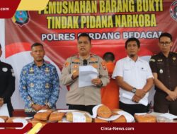Polisi Gagalkan Kurir 24 Kg Ganja, Upah Rp 9,6 Juta