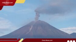 Semeru Erupsi Lagi, Pendakian Ditutup Sementara