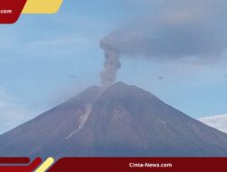 Semeru Erupsi Lagi, Pendakian Ditutup Sementara